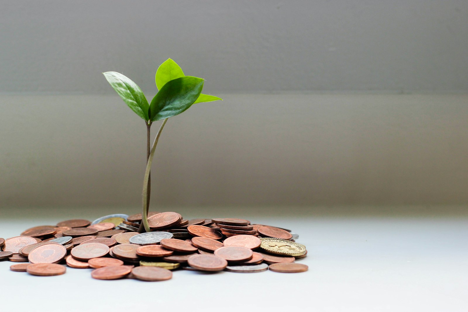 Luxembourg Life Insurance 2026: Safety & Estate Planning